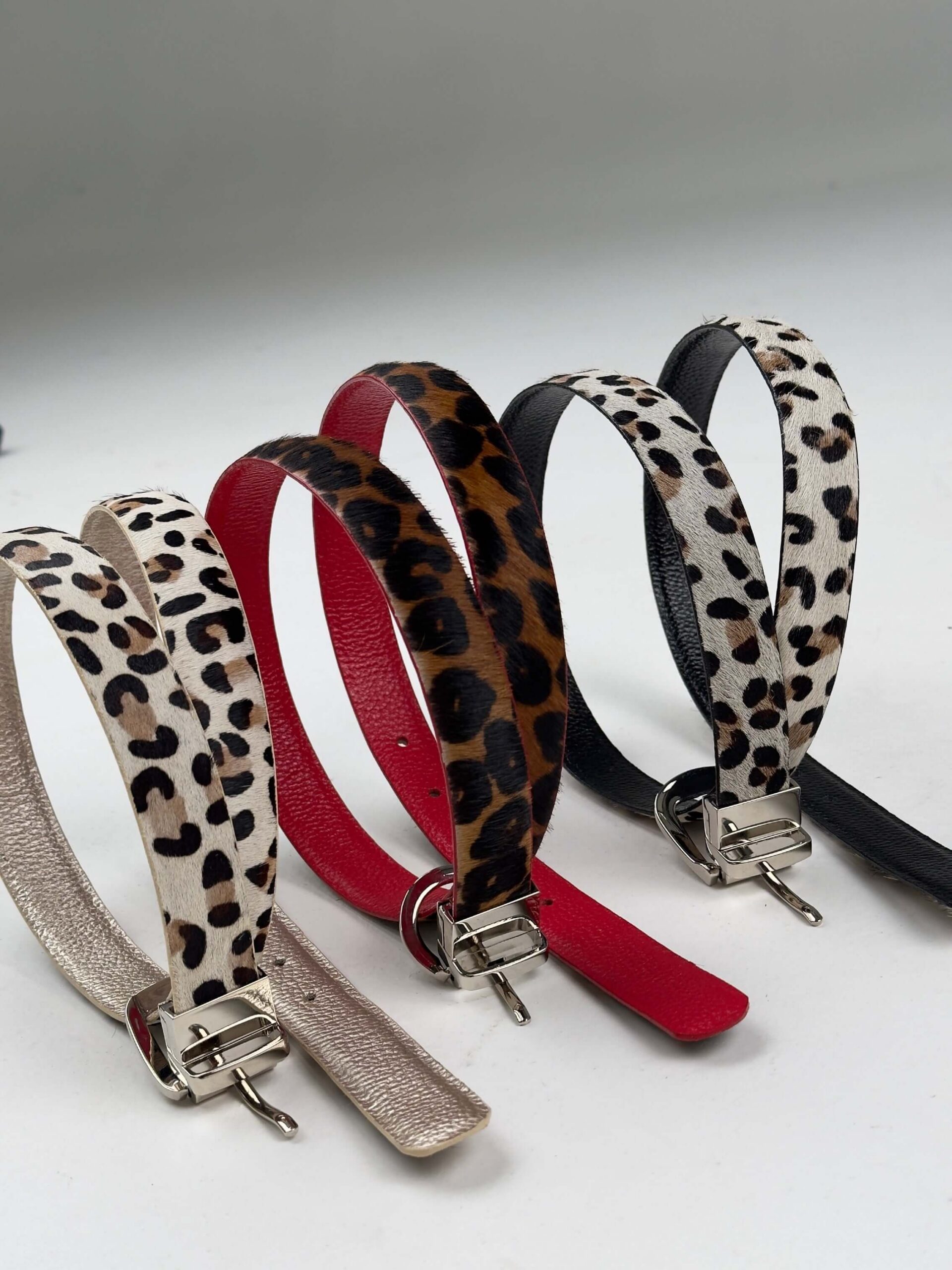 CORREA ANIMAL PRINT